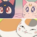 Cats in Anime