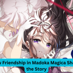 How Friendship in Madoka Magica Shape the Story