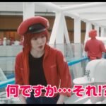 Cells at Work! Live-Action Film Unveils Theme Song